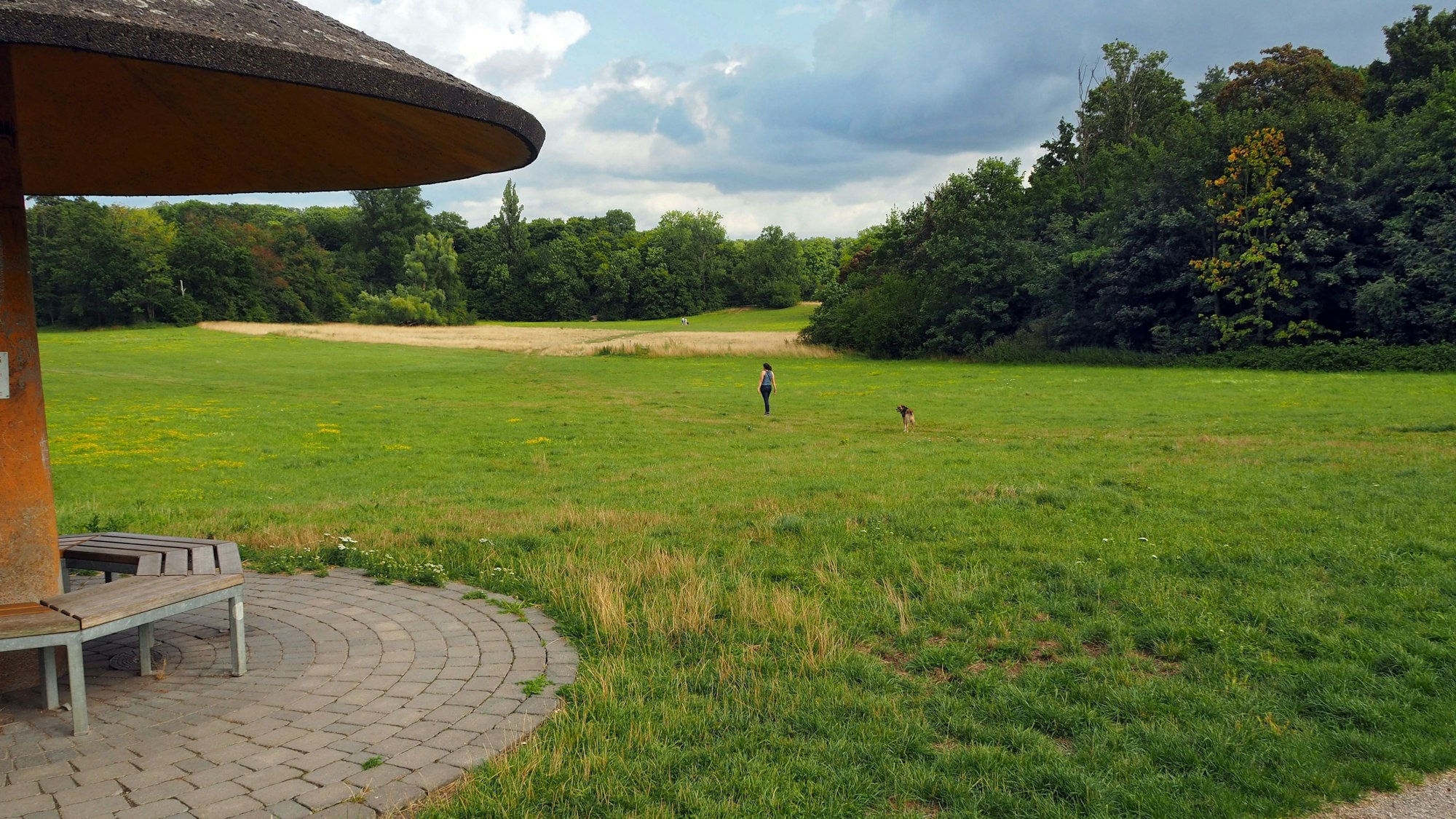 Auf einer großen Wiese, die von Bäumen eingefasst ist eine Frau mit einem Hund unterwegs.