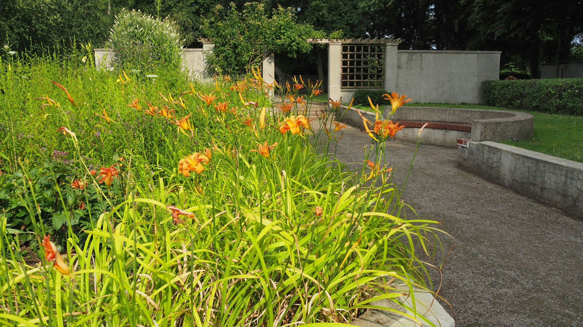 Blick in eine Parkanlage mit breiten Wegen geschwungenen Betonbänken.