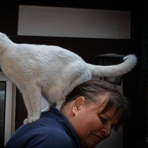 Katze „Maunzi Finchen“ sitzt auf dem Rücken der Katzenrevierleiterin Elke Sans.