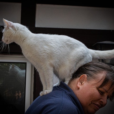 Katze „Maunzi Finchen“ sitzt auf dem Rücken der Katzenrevierleiterin Elke Sans.