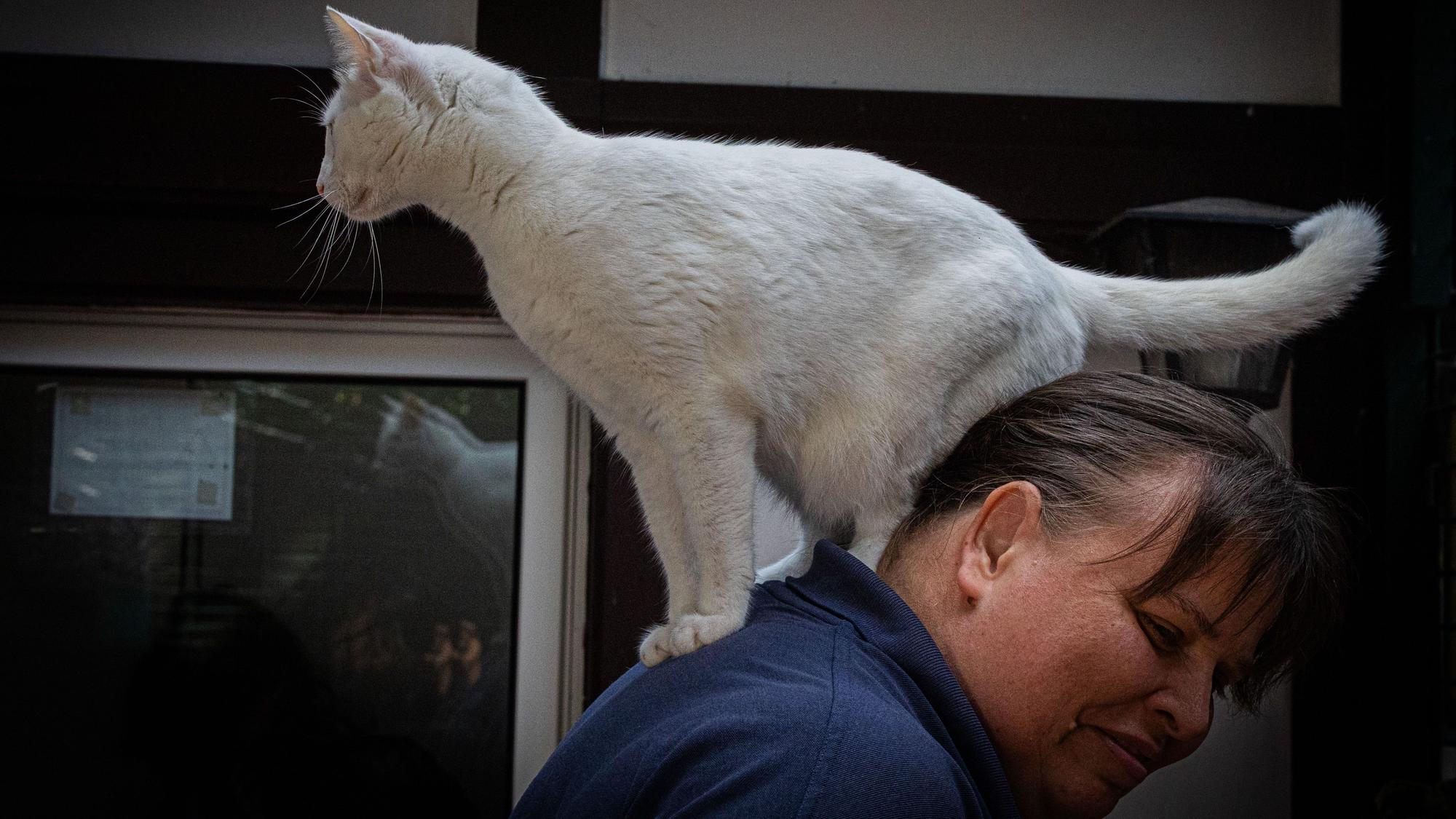 Katze „Maunzi Finchen“ sitzt auf dem Rücken der Katzenrevierleiterin Elke Sans.