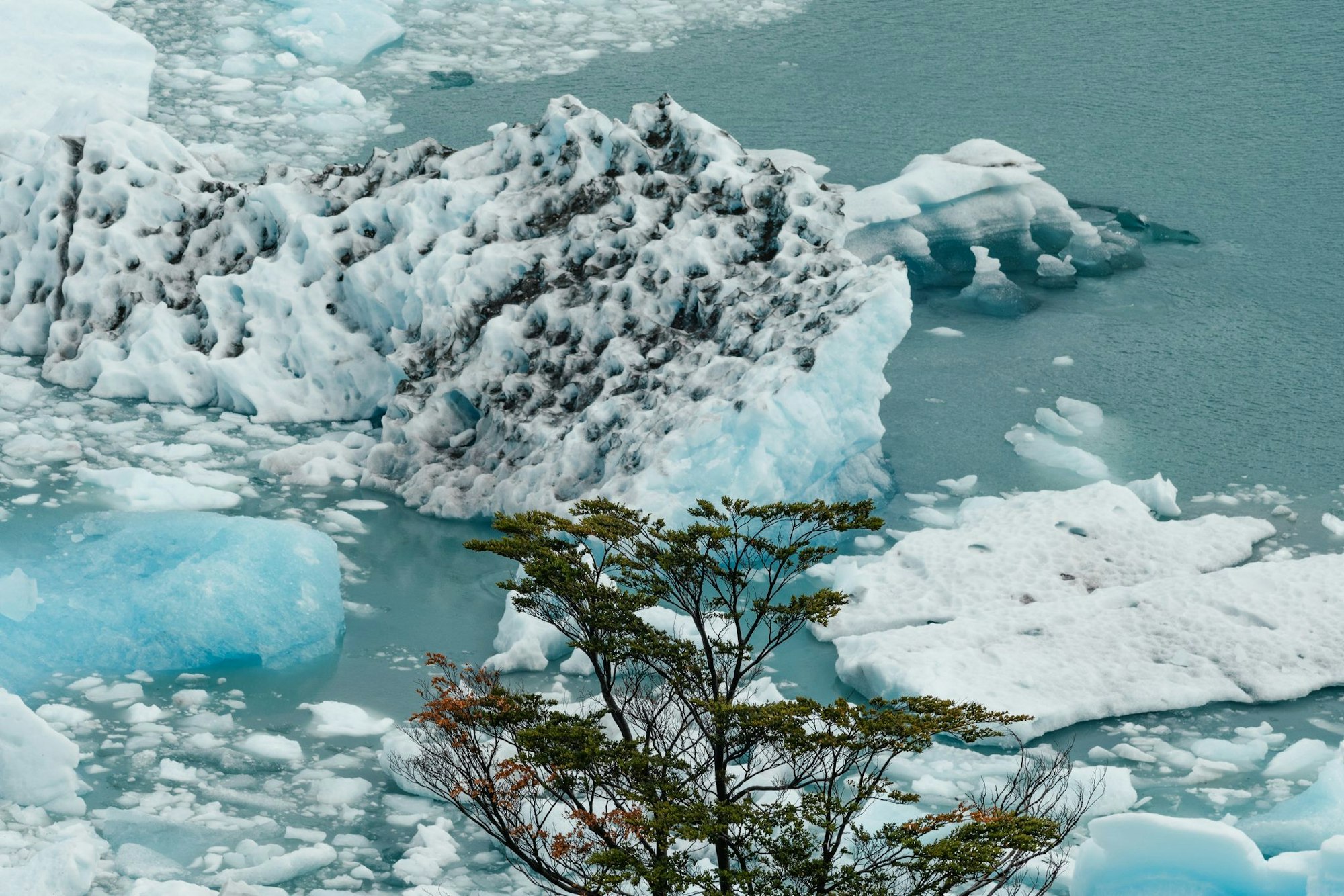 Eines der spektakulärsten Naturschauspiele Südamerikas droht zu verschwinden.