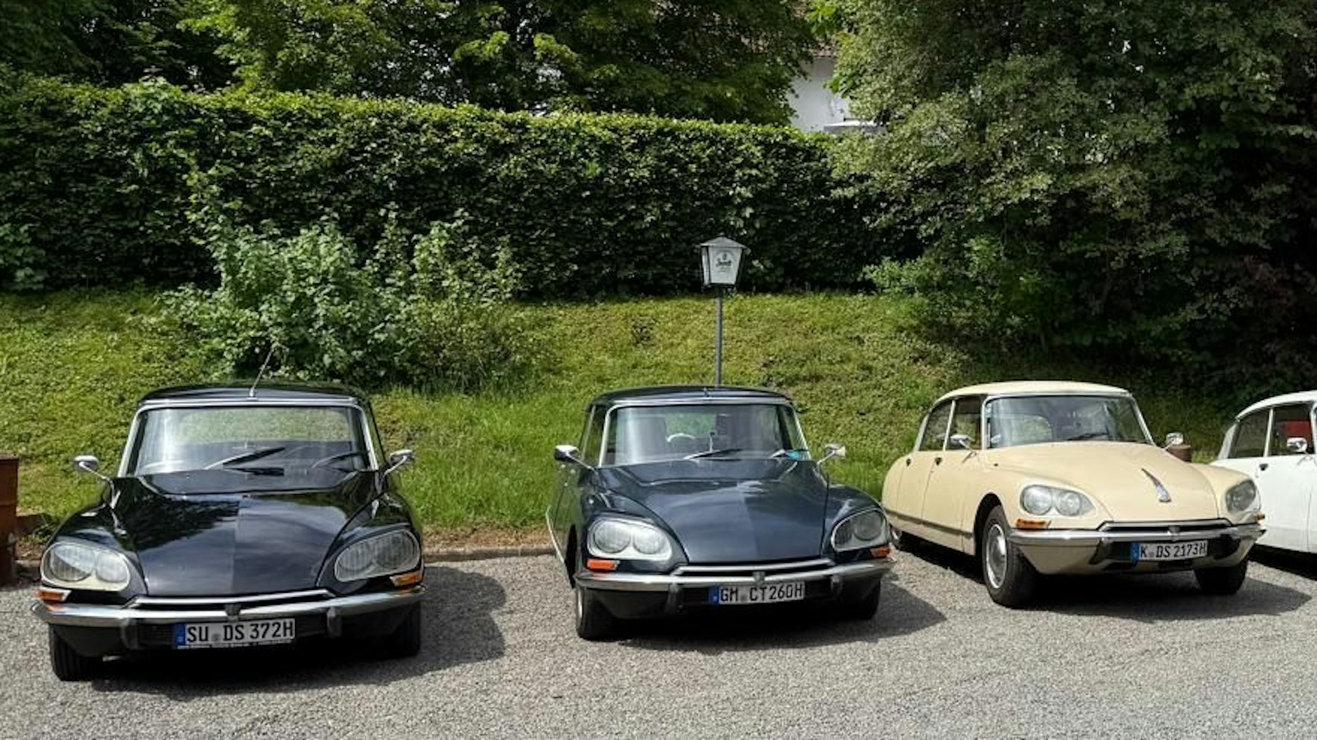 Und noch ein Bild mit schönen Französinnen.