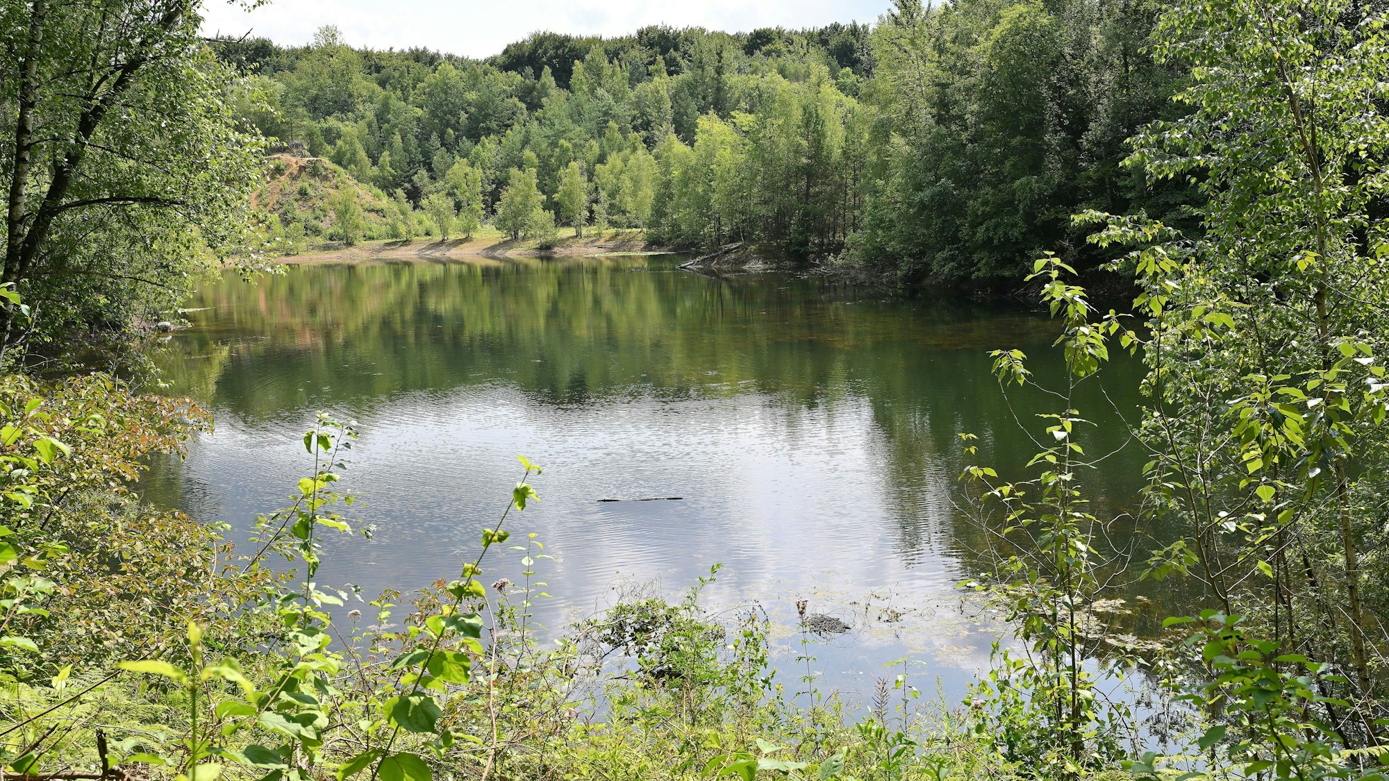 Blick auf das Naturschutzgebiet der Grube Cox.