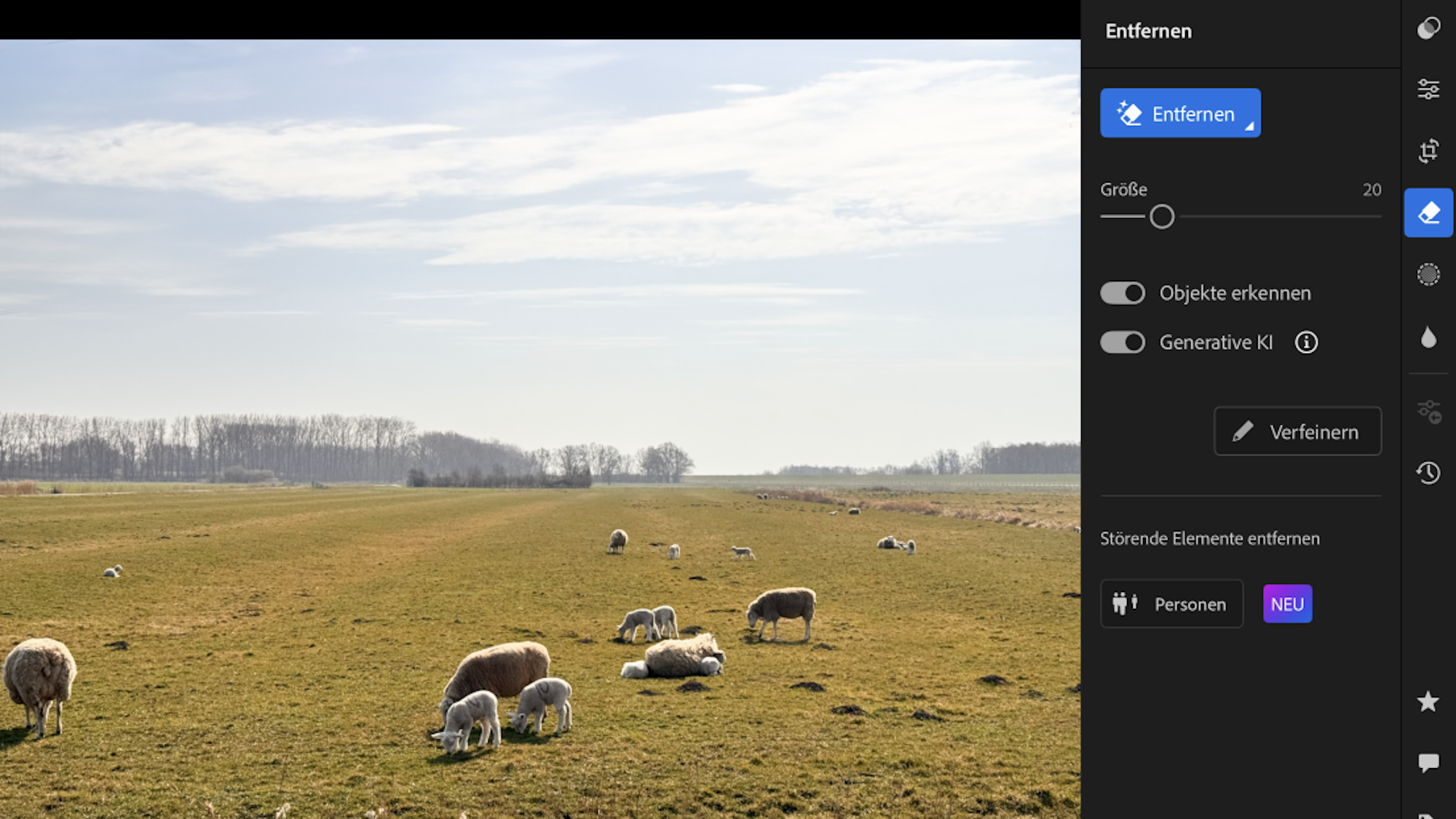 Im Bildbearbeitungsprogramm Lightroom wurde auf einem Bild mit Schafen eine Stromleitung im Hintergrund entfernt