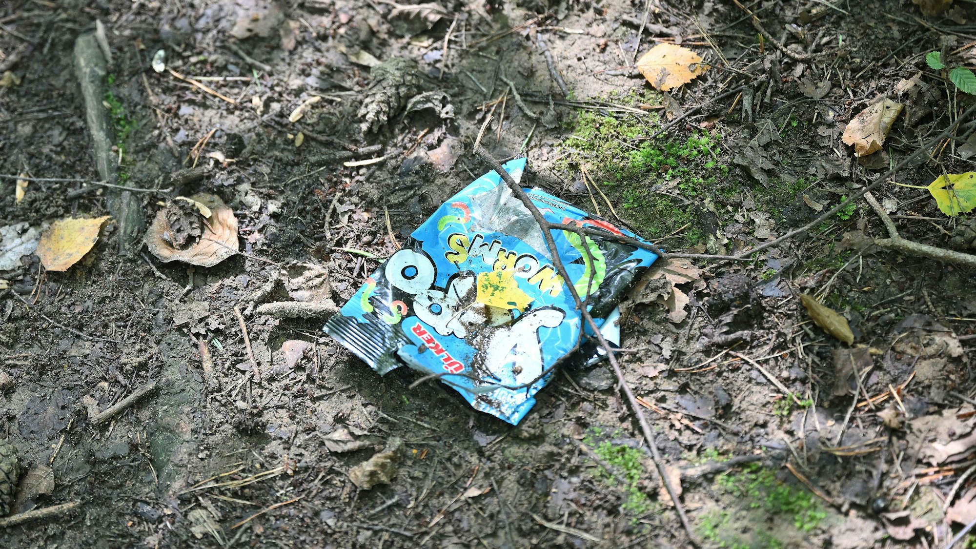 Abfall liegt im Naturschutzgebiet der Grube Cox in Bergisch Gladbach.