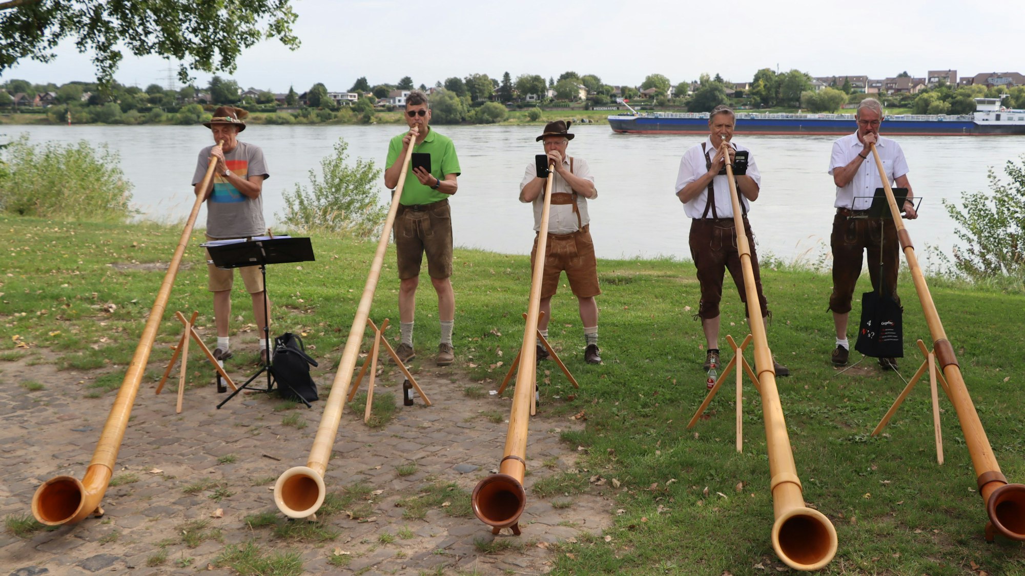 Das Bild zeigt fünf Männer, die Alphorn spielen und am Rheinufer stehen
