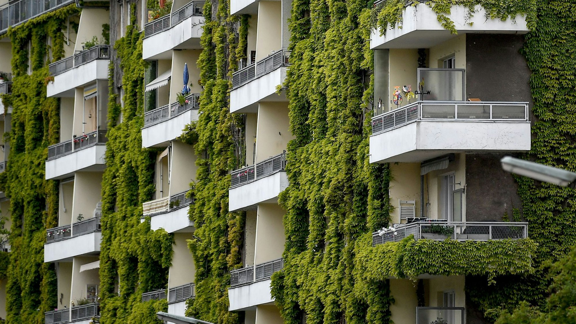 Pflanzen an der Fassade sorgen im Sommer für Schatten und im Winter für zusätzliche Dämmung.