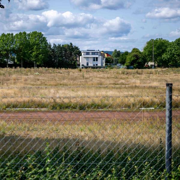 Das Bild zeigt ein hoch mit Gras bewachsenes Gelände hinter einem Maschendrahtzaun, im Hintergrund Wohnhäuser und Bäume.