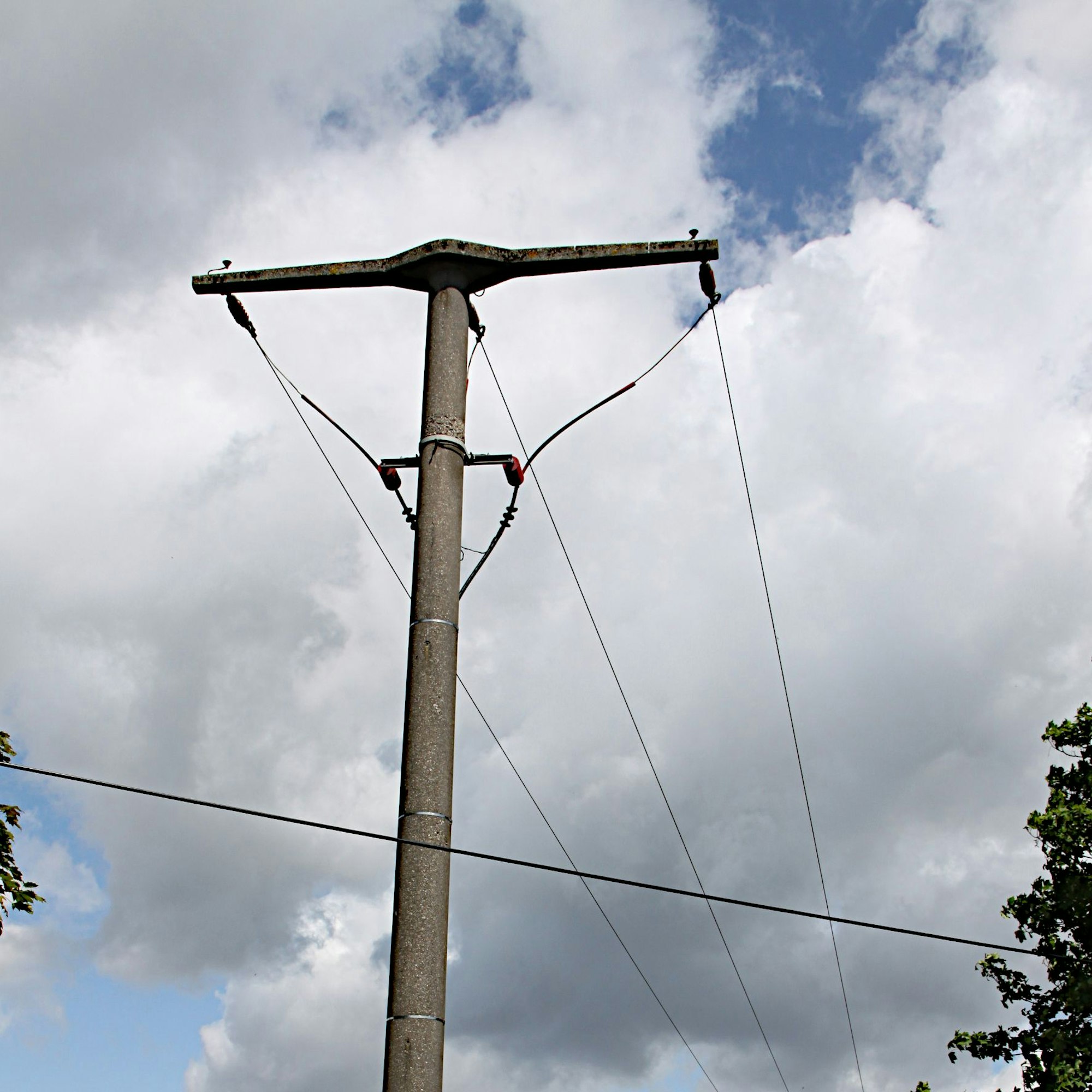 An dem Strommast, an dem der Uhu den Tod fand, ist keinerlei Schutzmaßnahme zu erkennen.