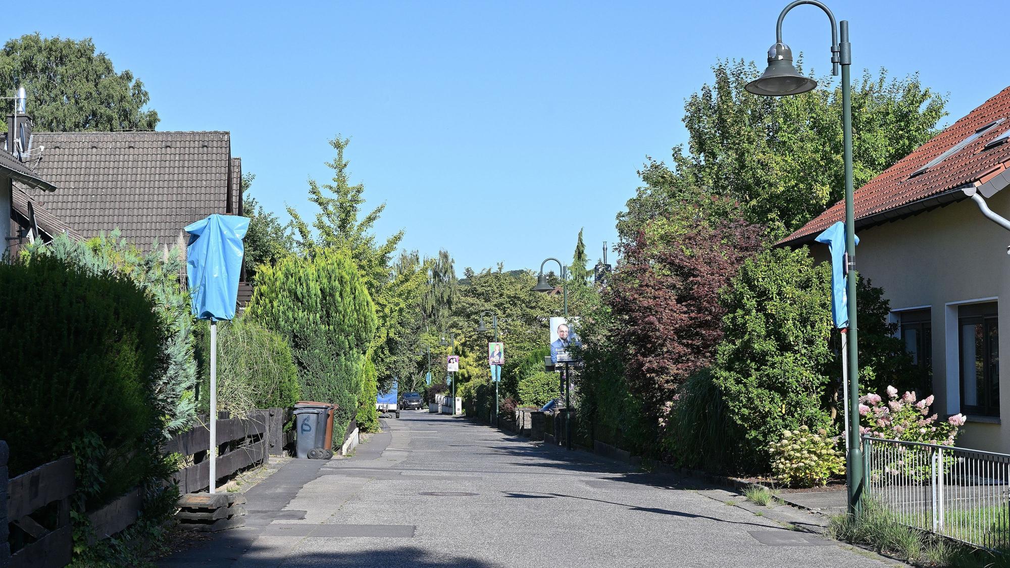 Eine Straße, am Rand, freistehende Häuser mit grünen Vorgärten.