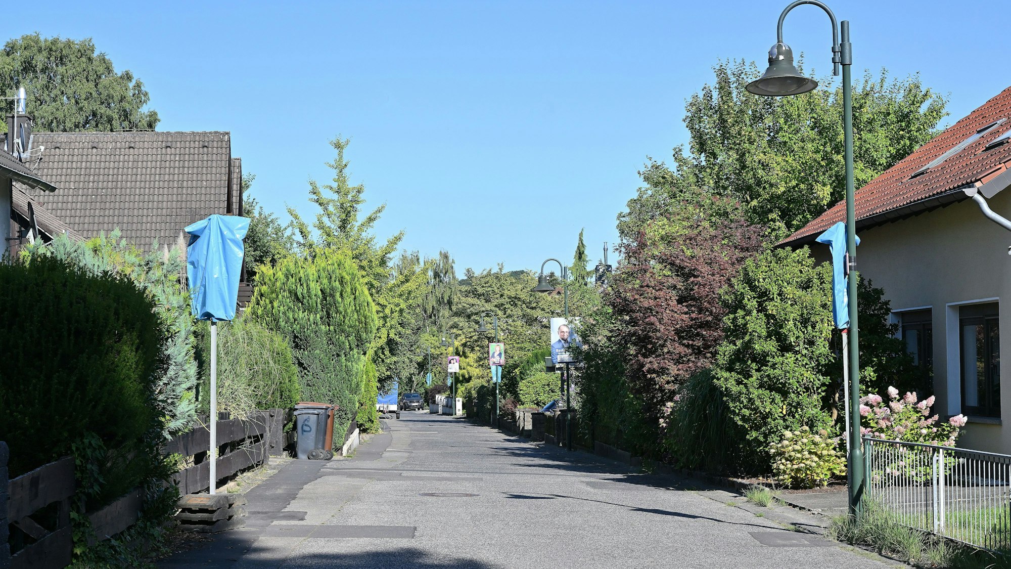 Eine Straße, am Rand, freistehende Häuser mit grünen Vorgärten.