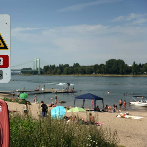 Köln, RSK, Schwimmen im Rhein bei Rodenkirchen
