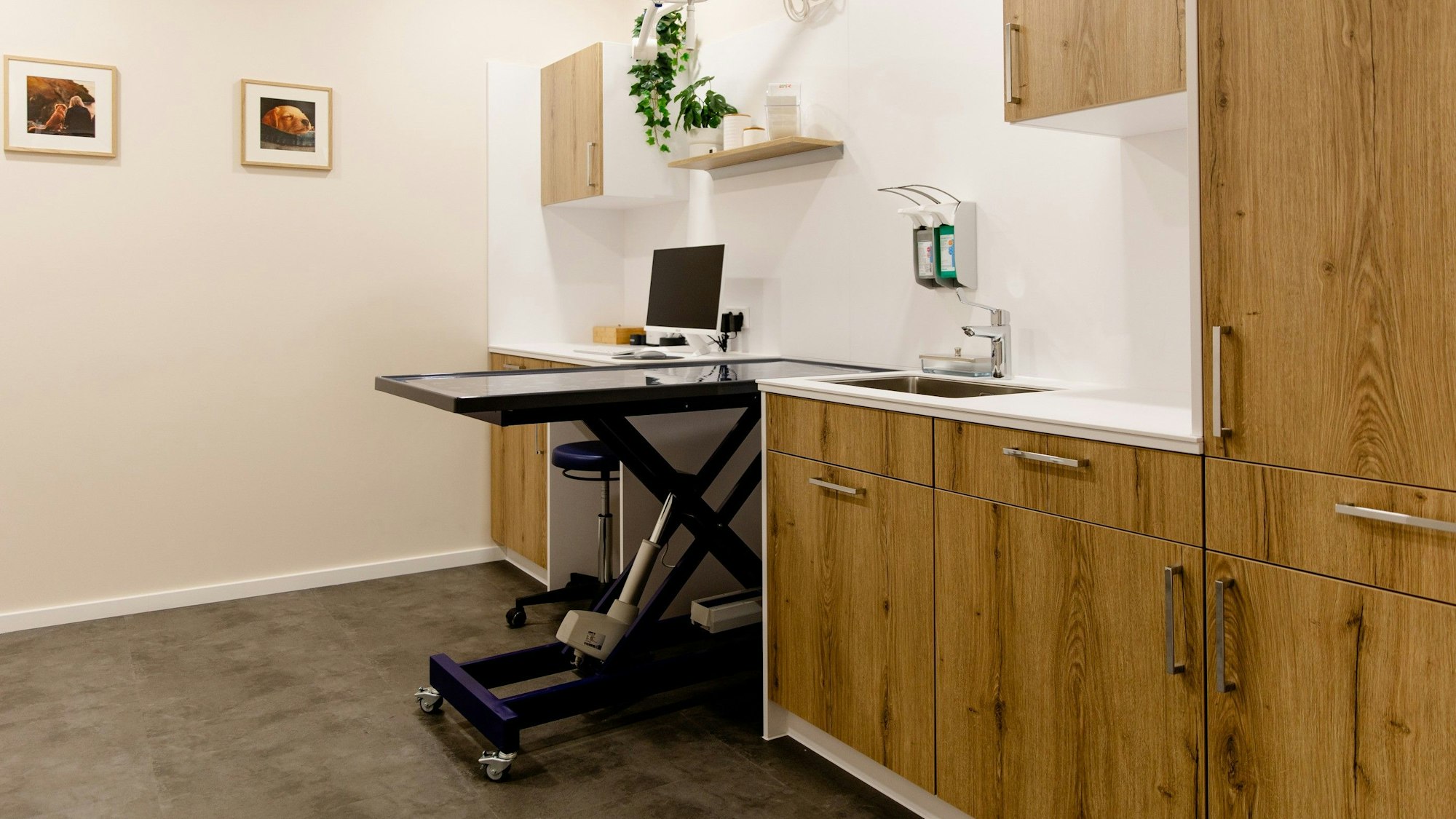 Die Kölner Tierarztpraxis Rex setzt auf Digitalisierung und einen stressfreien Besuch.