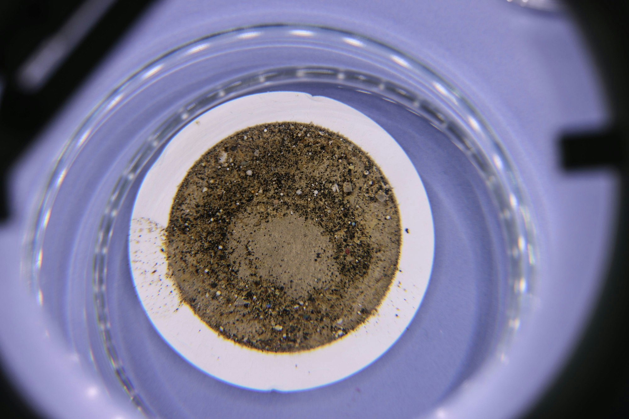 An mehreren Abwasserströmen von Chemiestandorten am Rhein ist industriell hergestelltes Mikroplastik festgestellt worden.