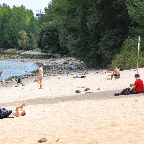 14.08.2025, Nordrhein-Westfalen, Düsseldorf: Menschen sitzen am Paradiesstrand am Rhein. In der nordrhein-westfälischen Landeshauptstadt gilt ab heute ein Badeverbot im Rhein.