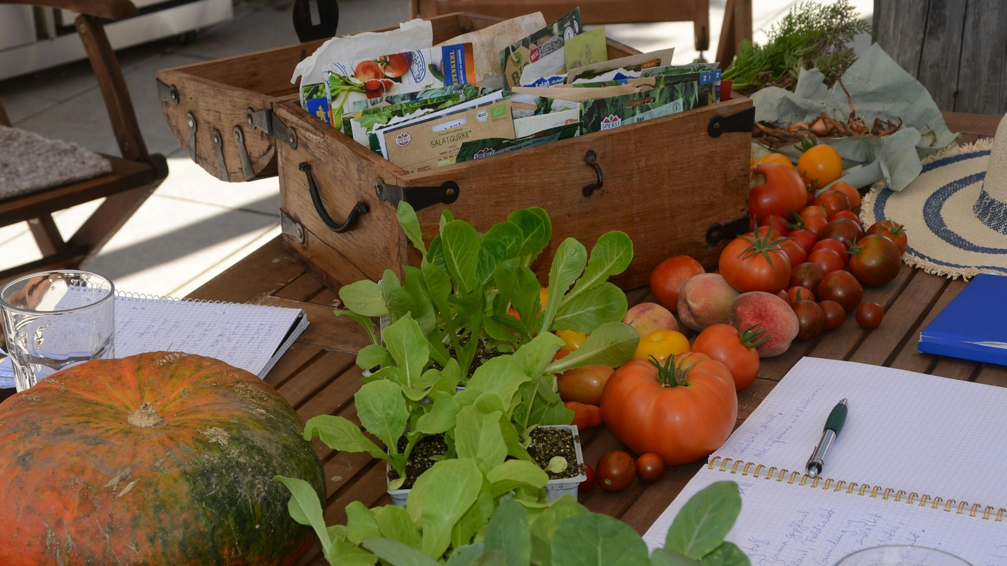 Der Gemeinschaftsgarten an der Cecilienstraße in Siegburg, Birgit Kellers ist Angestellte im Evangelischen Jugendwerk und die Koordinatorin vor Ort.
