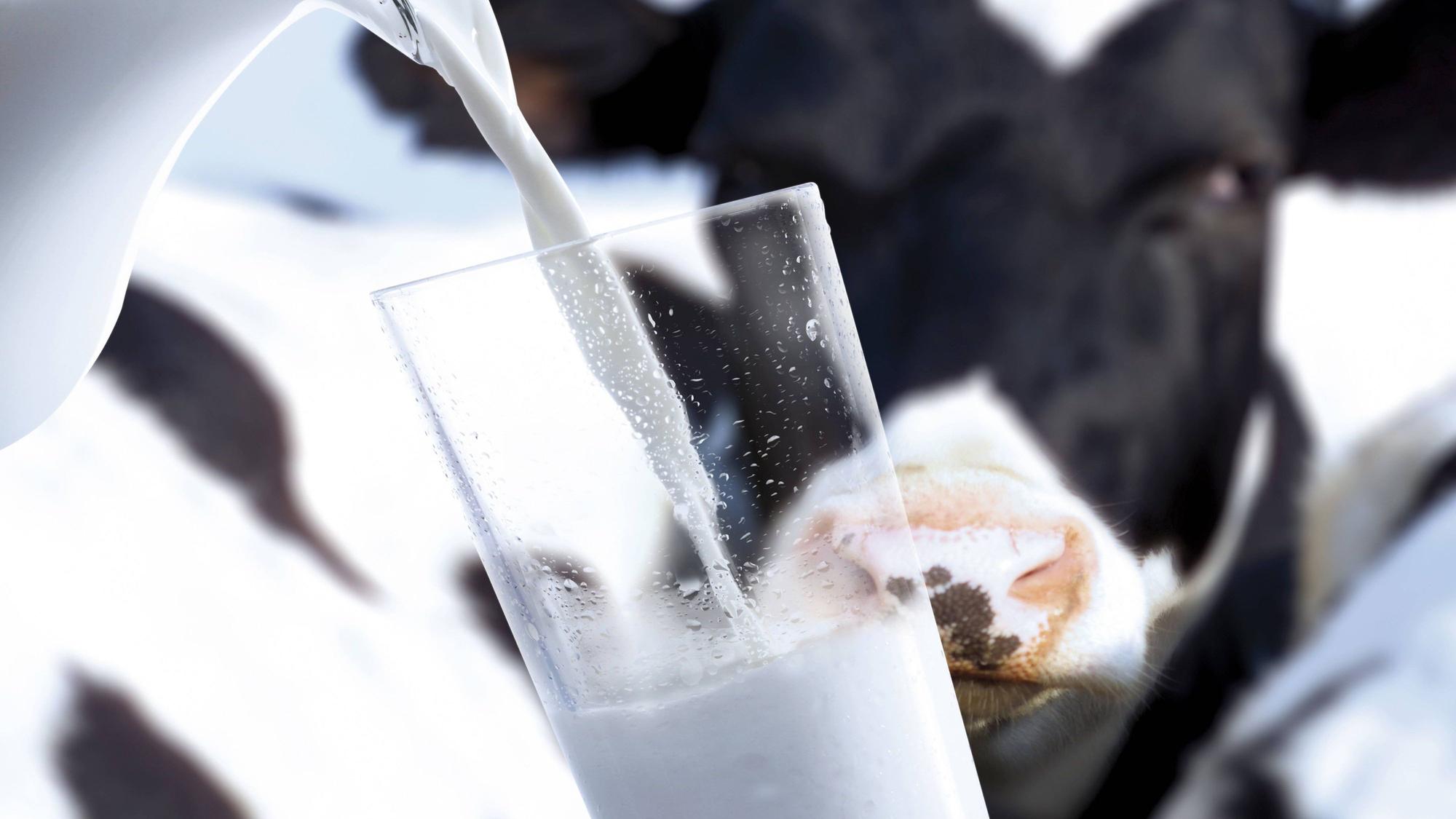 Ganz oben auf der Hydrations-Rangliste steht Magermilch.