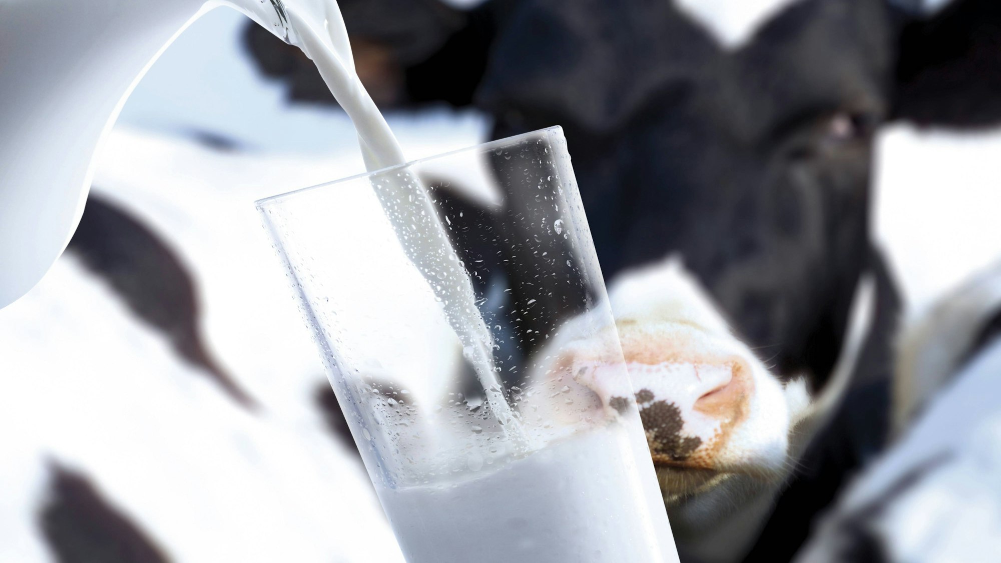 Ganz oben auf der Hydrations-Rangliste steht Magermilch.