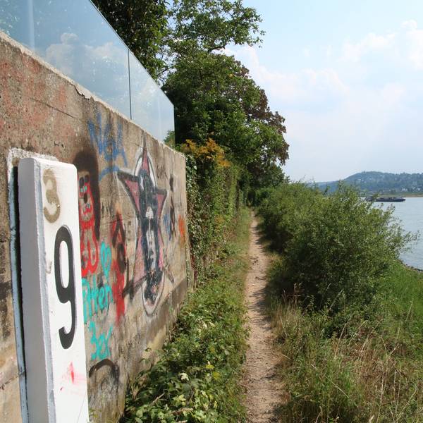 Ein schmaler Pfad, links eine Mauer mit Graffiti, rechts die Böschung zum Rhein.