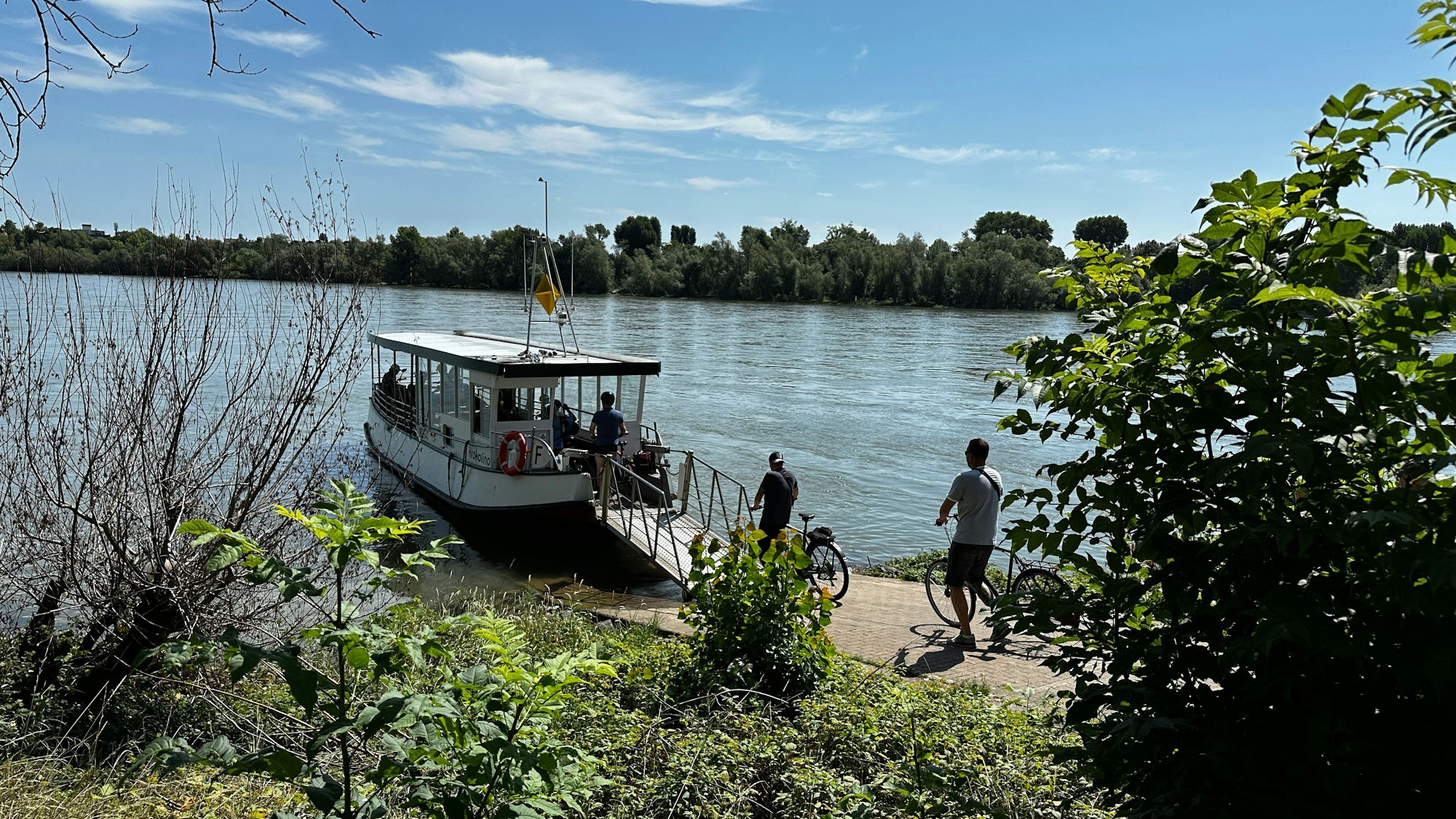 Menschen schieben Fahrräder zu einem kleinen Steg, der auf ein weißes Bötchen, die Weißer Fähre, führt.