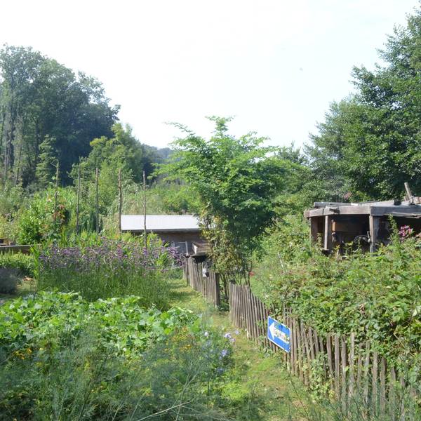 Seit fünf Jahren gibt es die Dorfwiese in Neuhonrath; "ein Garten für Gemeinschaft eher als ein Gemeinschaftsgarten", sagt die Initiatorin Caro Schulte-Bisping