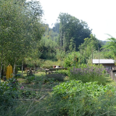 Seit fünf Jahren gibt es die Dorfwiese in Neuhonrath; "ein Garten für Gemeinschaft eher als ein Gemeinschaftsgarten", sagt die Initiatorin Caro Schulte-Bisping