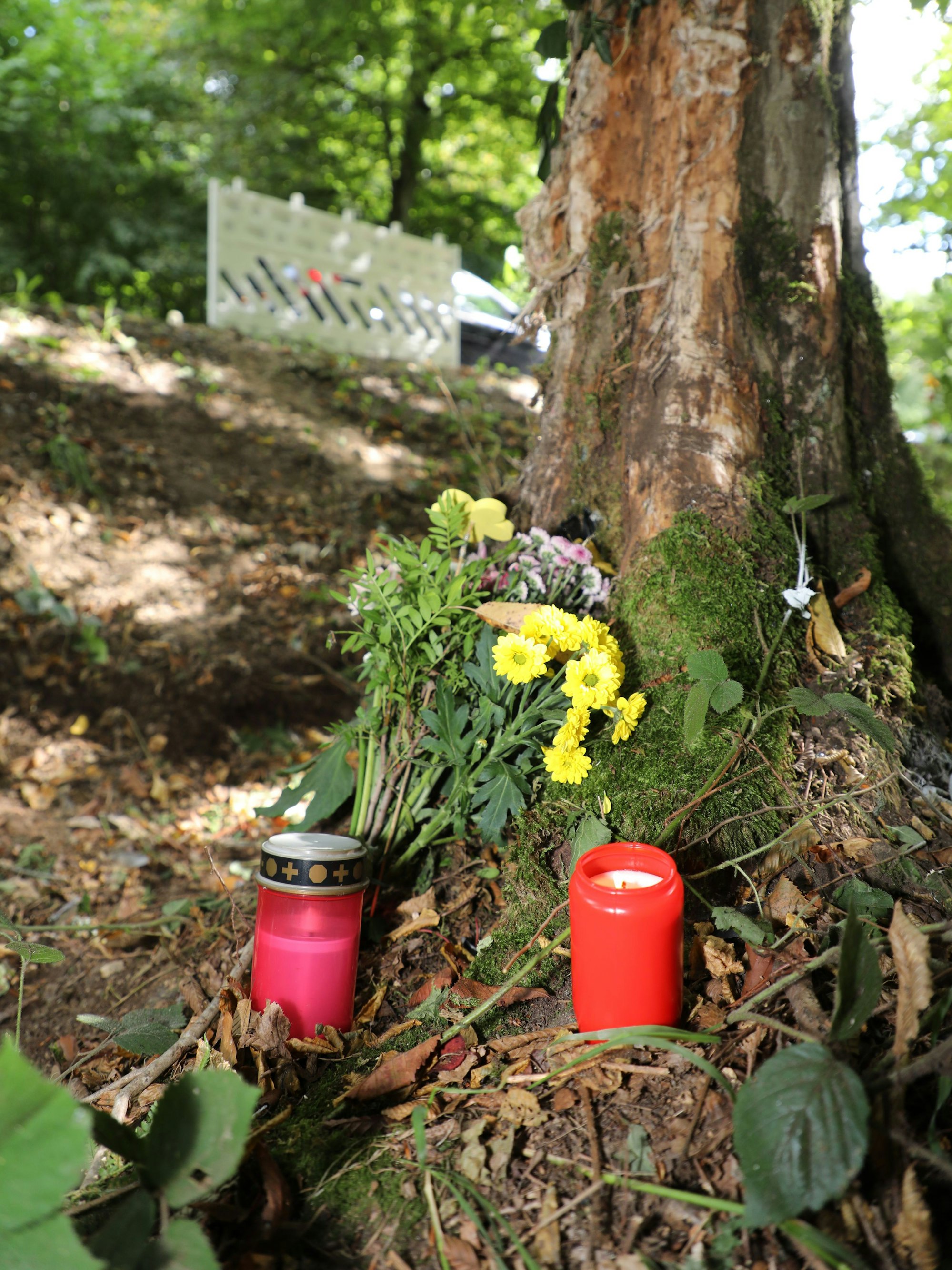 Kerzen und Blumen stehen an einem Baum mit beschädigter Borke an der Dürschtalstraße bei Kürten-Dürscheid.