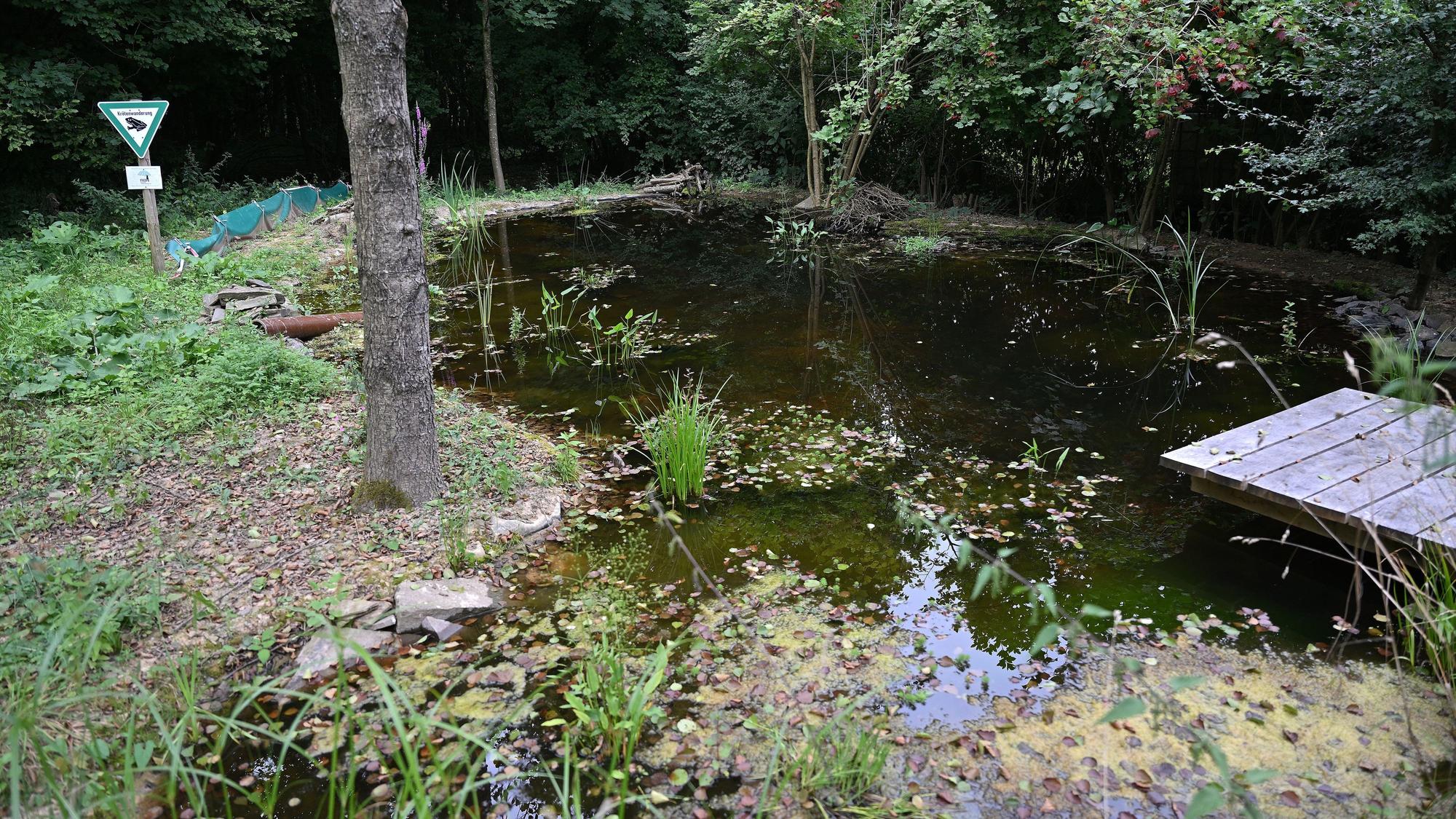 Zu sehen ist ein kleiner Teich mit einem Holzsteg.