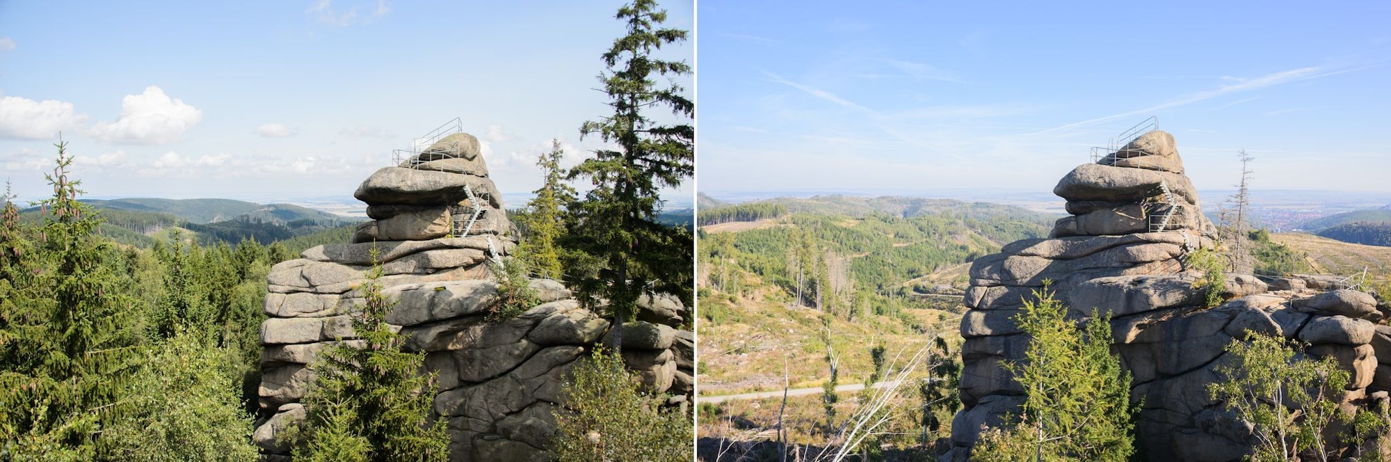 Der Ottofelsen im Harz 2014 und 2023: Seit 2018 gibt es im Harz ein immenses Baumsterben. Damals warf ein Orkan zahlreiche Bäume um. Das Totholz in Verbindung mit der Trockenheit in den vergangenen Jahren führte zu einer besonders starken Ausbreitung des Borkenkäfers und zu einem massiven Fichtensterben.