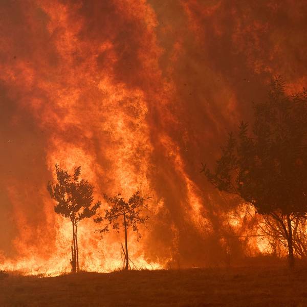 Ein Feuer gerät in einem Wald in der Nähe des Dorfes Rebordondo in der Nähe von Ourense im Nordwesten Spaniens außer Kontrolle.