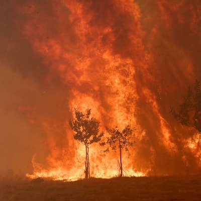 Ein Feuer gerät in einem Wald in der Nähe des Dorfes Rebordondo in der Nähe von Ourense im Nordwesten Spaniens außer Kontrolle.