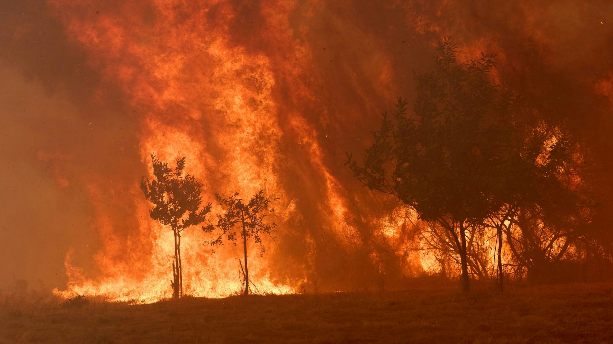Ein Feuer gerät in einem Wald in der Nähe des Dorfes Rebordondo in der Nähe von Ourense im Nordwesten Spaniens außer Kontrolle.