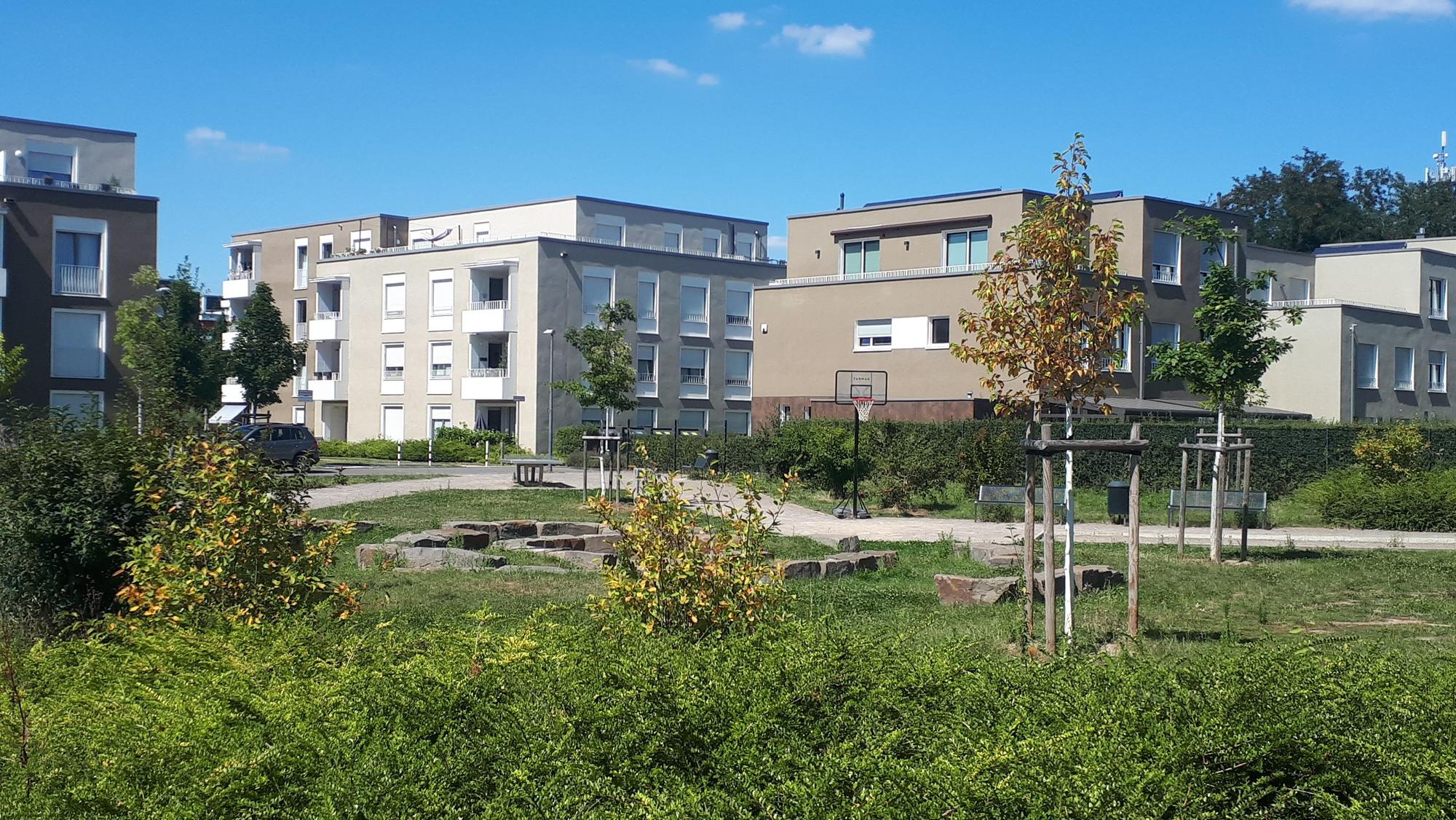 Mehrere Wohnblocks stehen am Rande einer Grünanlage.
