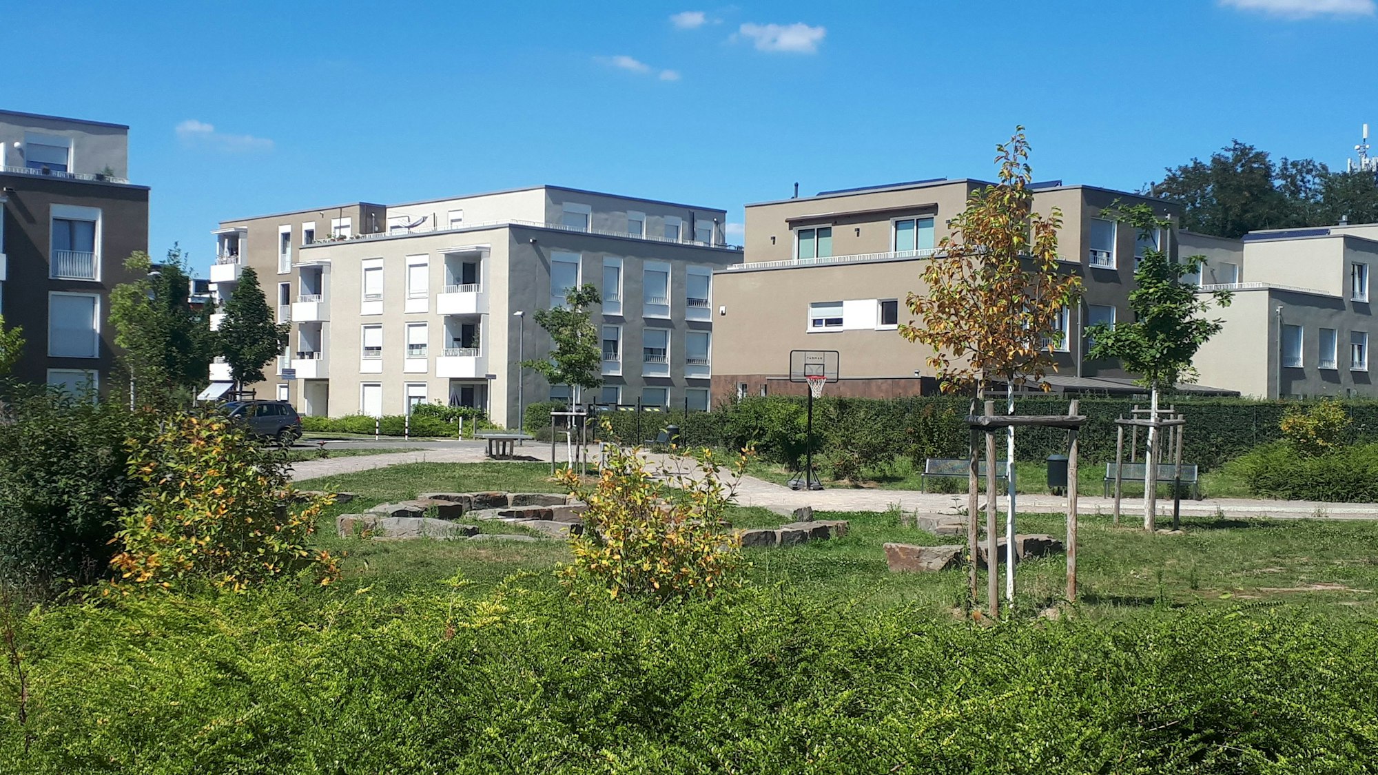 Mehrere Wohnblocks stehen am Rande einer Grünanlage.