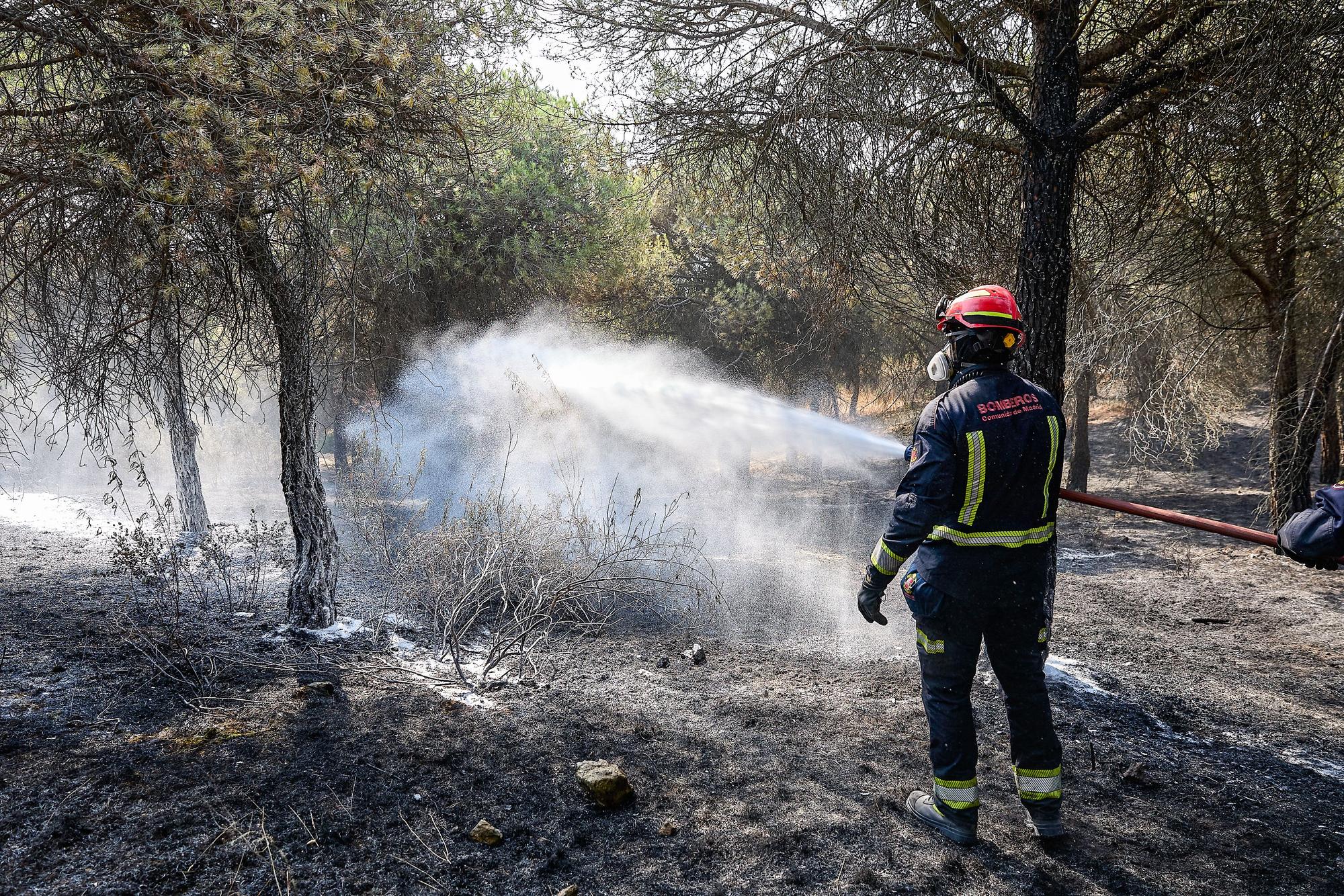Ein Feuerwehrmann der Gemeinde Madrid löscht ein Feuer in Colmenar Viejo.