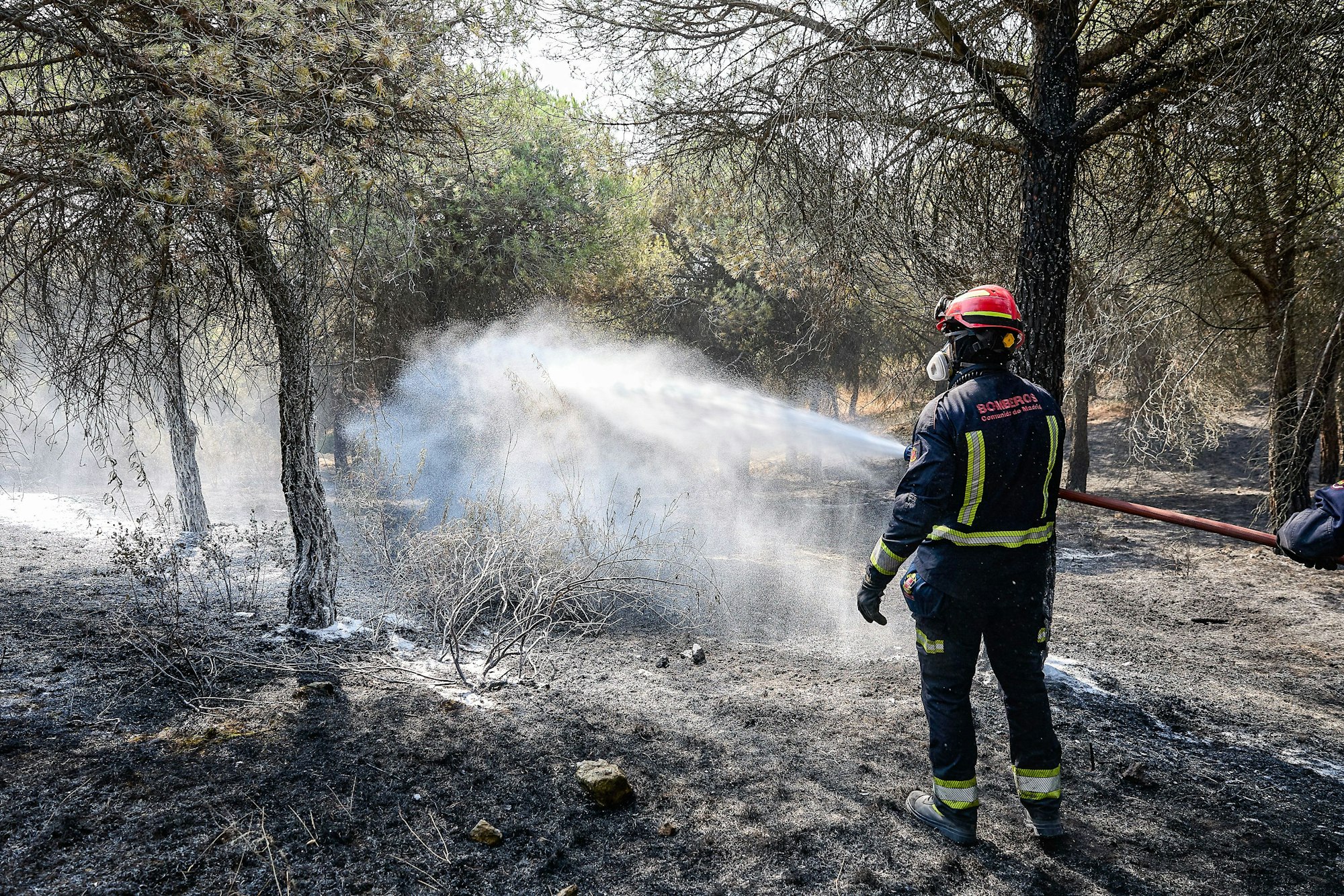 Ein Feuerwehrmann der Gemeinde Madrid löscht ein Feuer in Colmenar Viejo.
