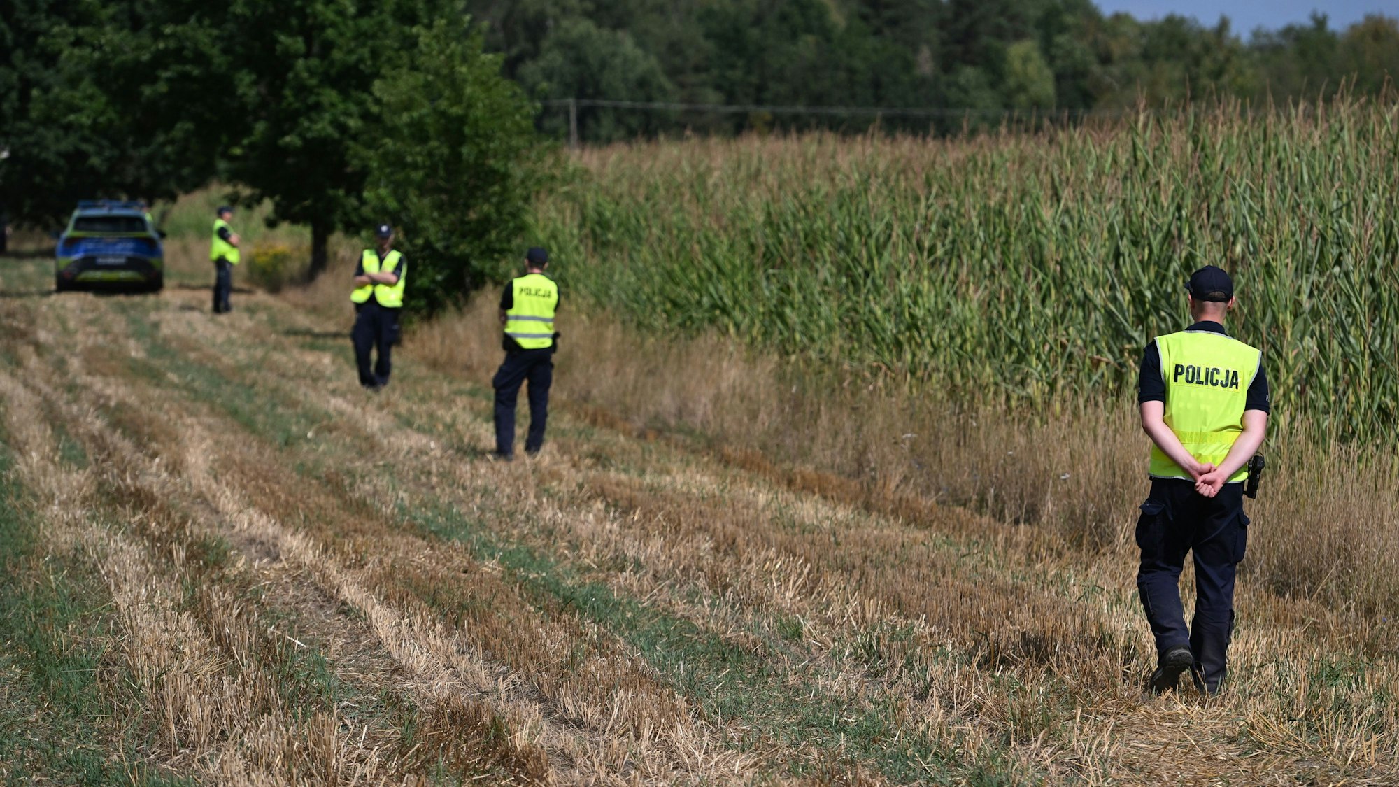 dpatopbilder - 20.08.2025, Polen, Osiny: Polizei sichert das Gebiet eines Maisfeldes in Osiny, Ostpolen, auf das ein nicht identifiziertes Objekt fiel. Im Osten von Polen ist ein unbekanntes Flugobjekt in ein Maifeld gestürzt und dort explodiert. Höchstwahrscheinlich handele es sich um eine abgestürzte Drohne, sagte Verteidigungsminister Wladyslaw Kosiniak-Kamysz in Minsk Mazowiecki östlich von Warschau. Foto: Wojtek Jargilo/PAP/dpa +++ dpa-Bildfunk +++