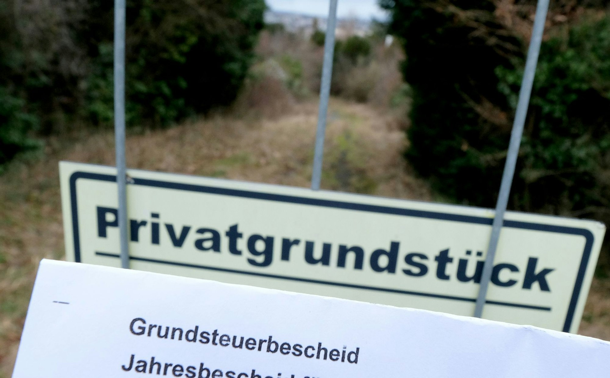 Überhöhte Werte für unbebautes Land angesetzt? Dann kann sich ein Einspruch gegen den Grundsteuerwertbescheid lohnen.