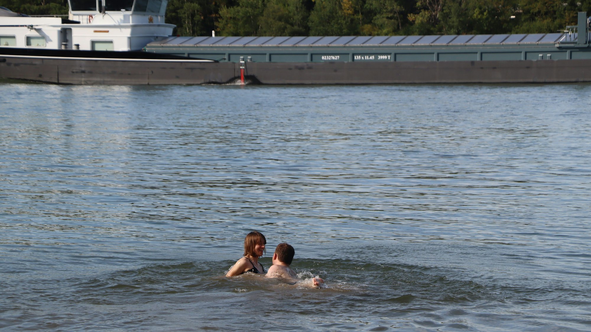 Zwei Personen schwimmen im Rhein, in Hintergrund ein Frachtschiff.