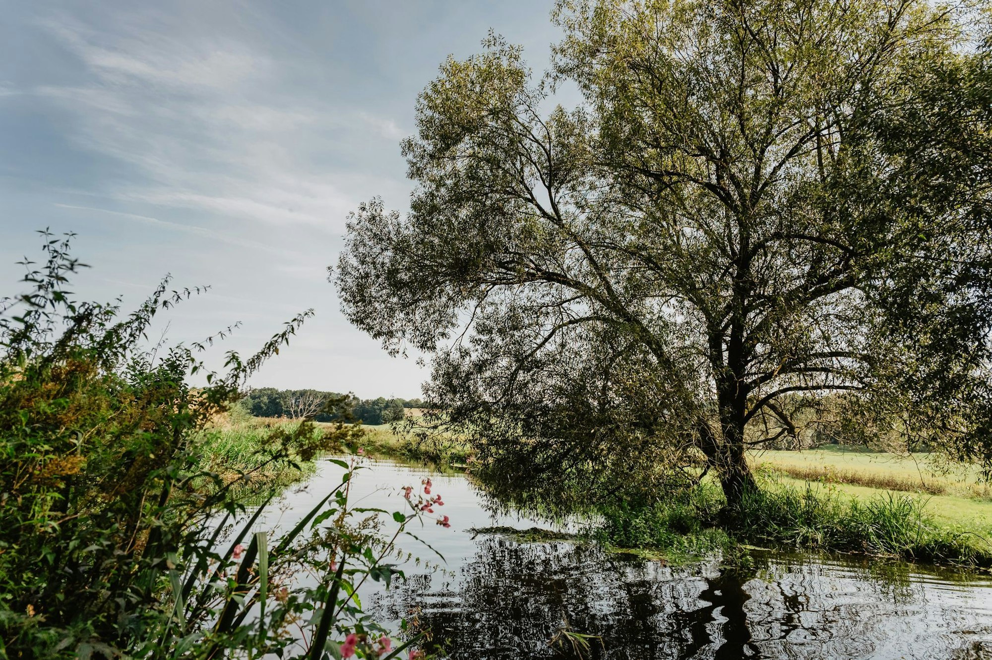 Der Chamb fließt durch die Oberpfalz - der Fluss ist 51 Kilometer lang.
