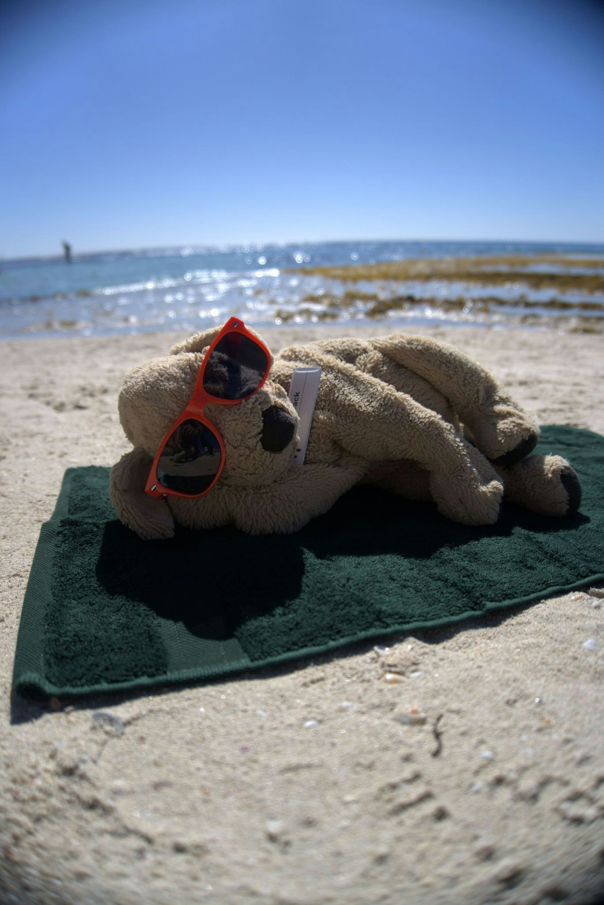Auch am Strand durfte sich Jack schon sonnen.