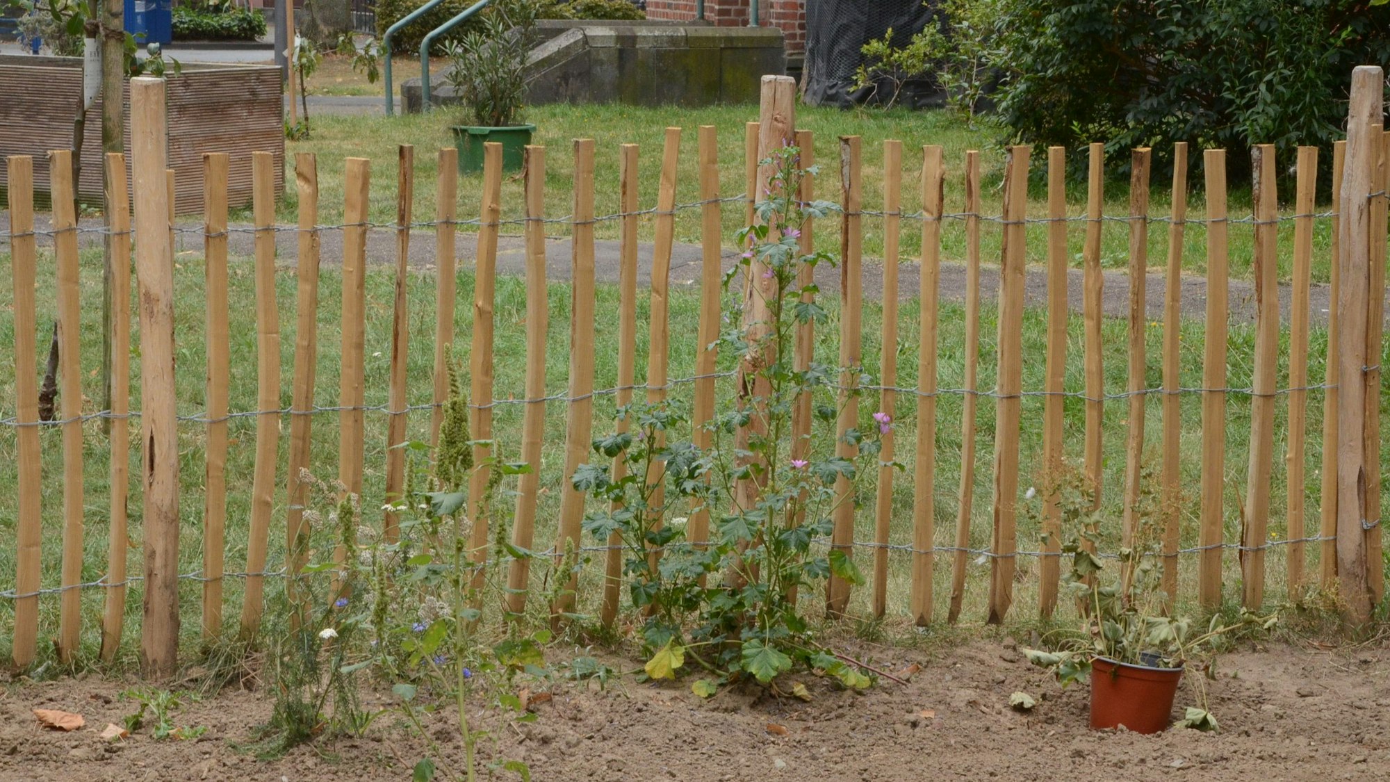Trockene Erde vor einem Staketenzaun.