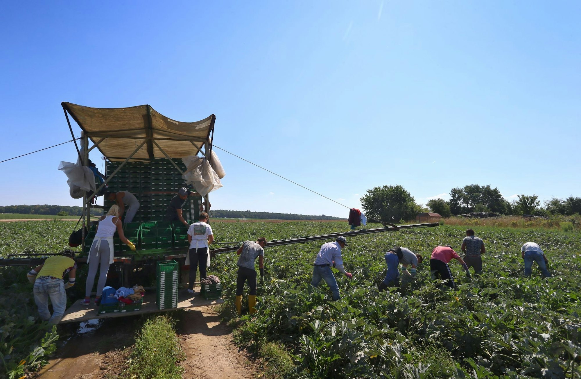 In der prallen Sonne besonders exponiert: Arbeiter auf dem Feld (Archivbild)