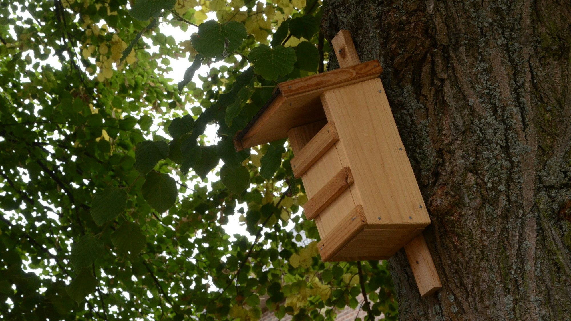 Ein hölzerner Nistkasten hängt an einem Baum.