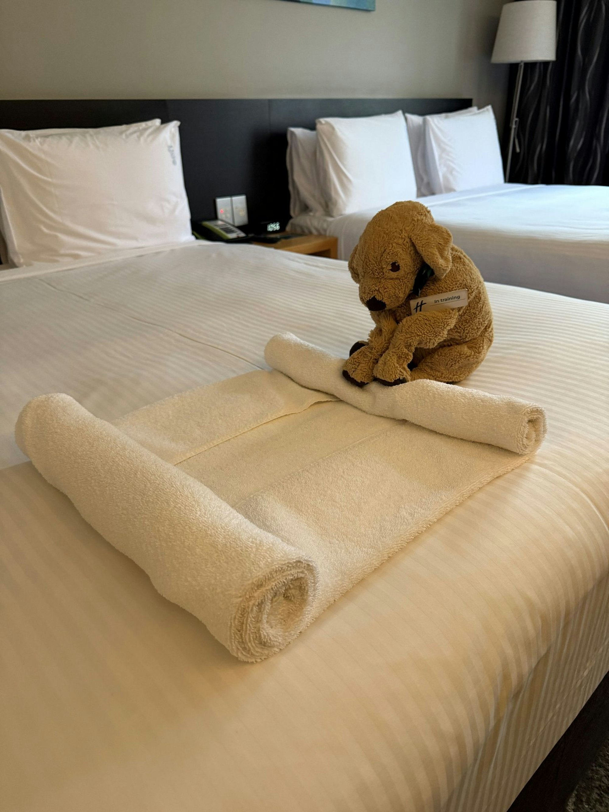 Der kleine Stoffhund Jack macht sich auch im Housekeeping nützlich, wie Hotelmitarbeiter in Posts zeigen.
