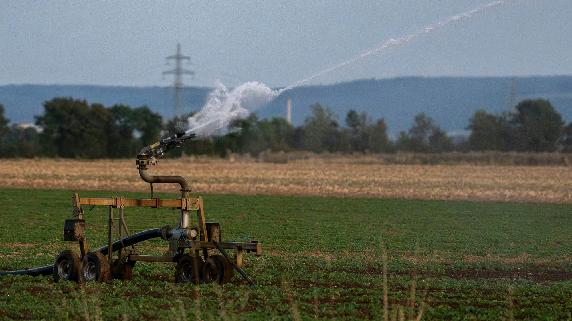 Das Bild zeigt eine mobile Bewässerungsanlage auf einem Feld bei Euskirchen.