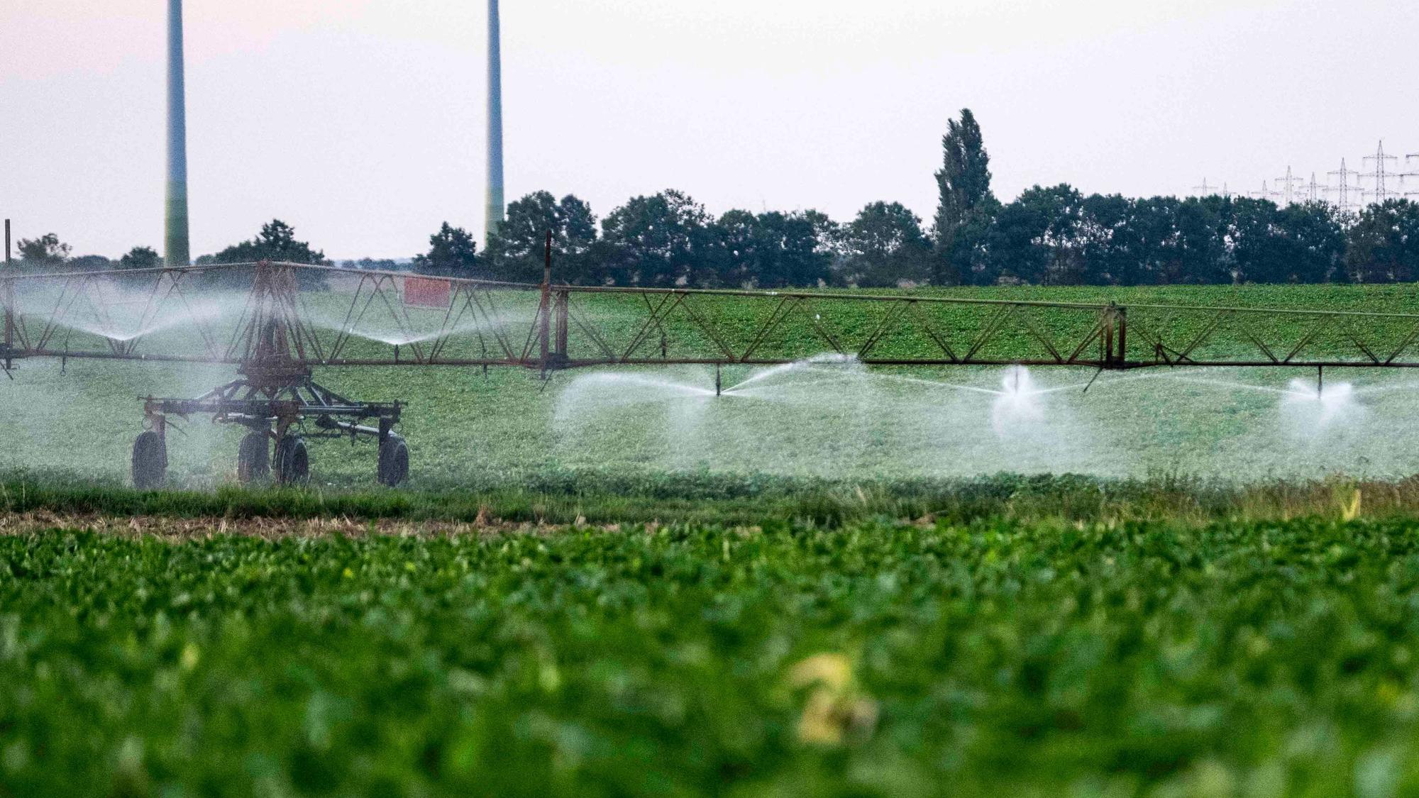 Das Bild zeigt ein Feld bei Euskirchen, das mithilfe einer Gerätschaft bewässert wird.