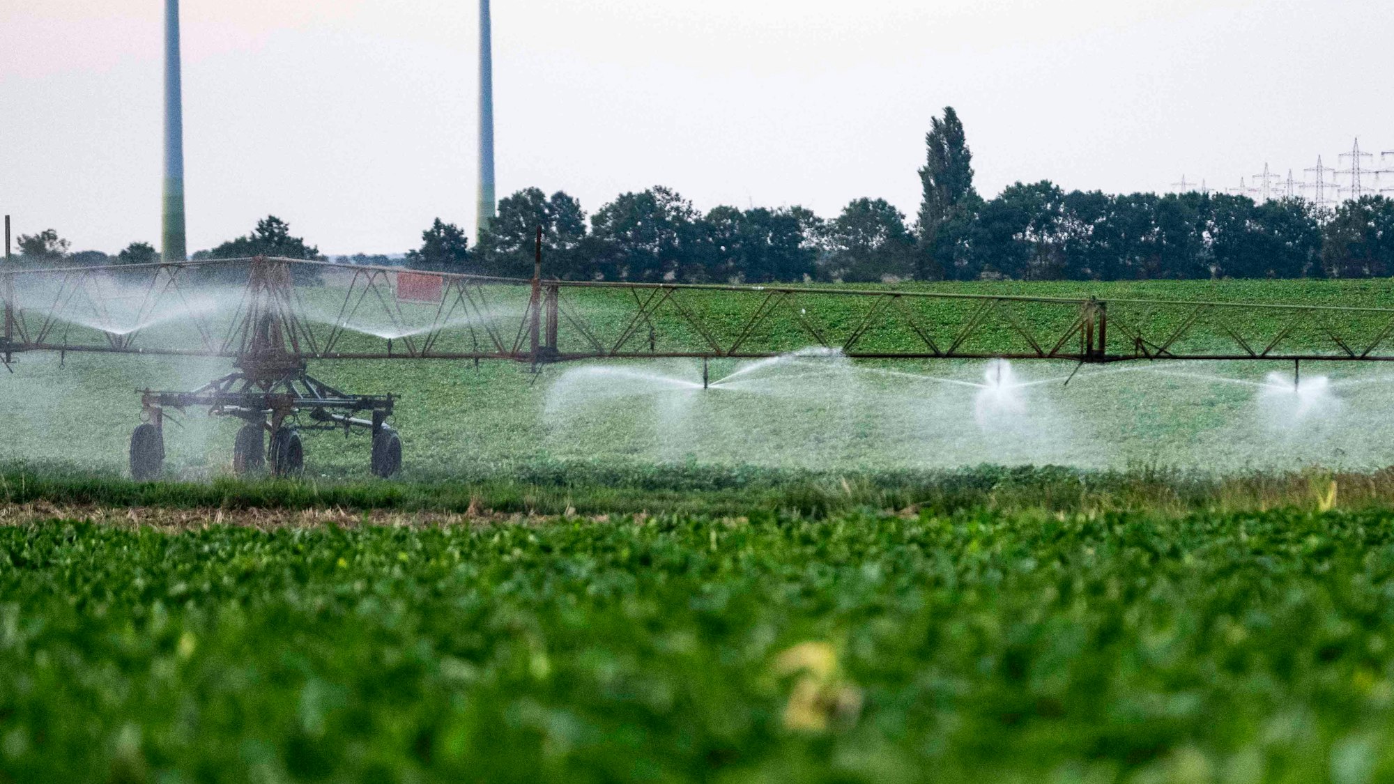 Das Bild zeigt ein Feld bei Euskirchen, das mithilfe einer Gerätschaft bewässert wird.