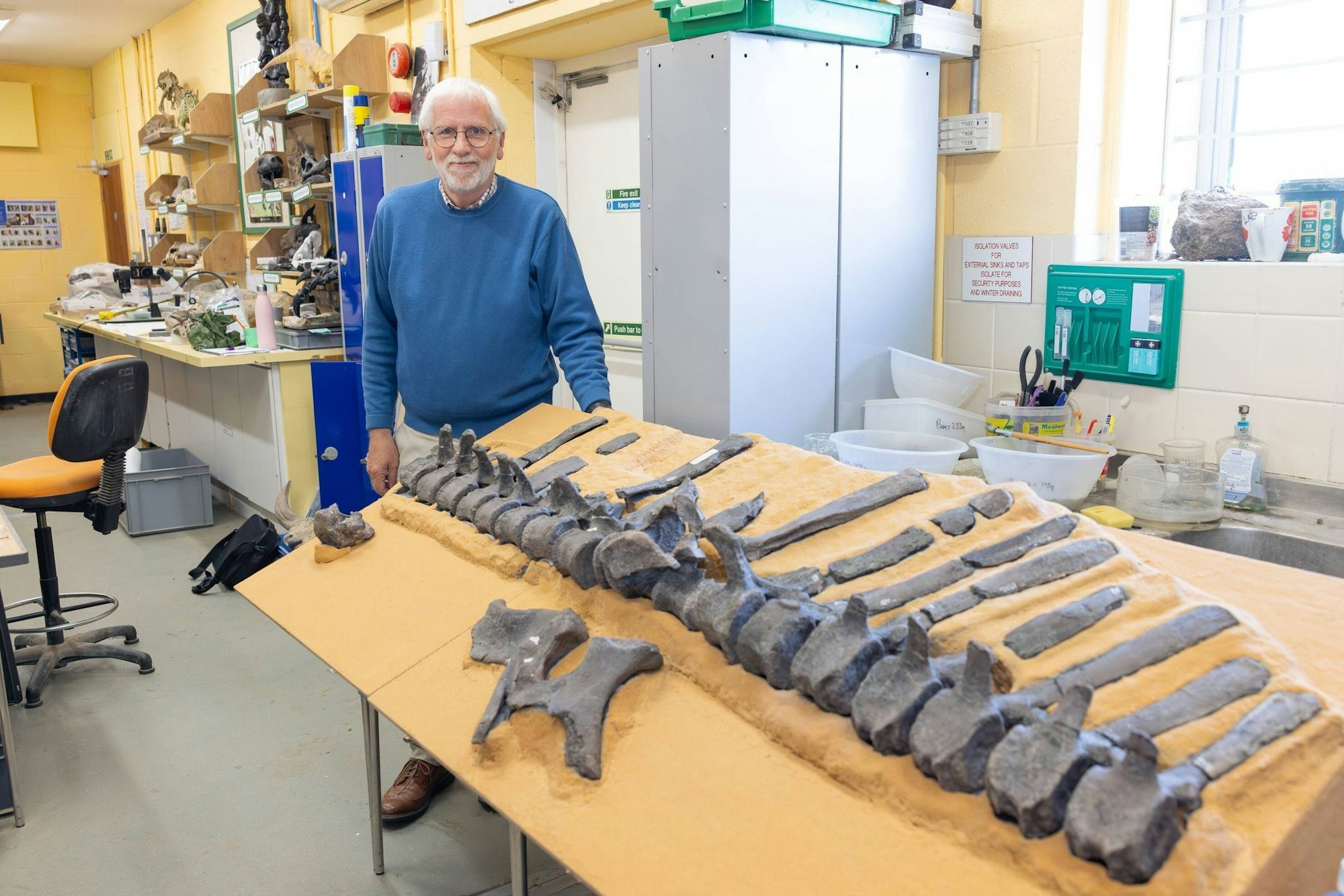 Jeremy Lockwood mit Fossilien von Istiorachis macarthurae